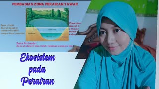 Ecosystems in Waters