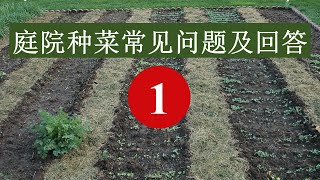 庭院种菜常见问题及其回答【1】/ Gardening FAQ 【1】