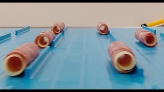 Download Lagu ELCAT Automated Four-Way Panino Rolls Maker MP3