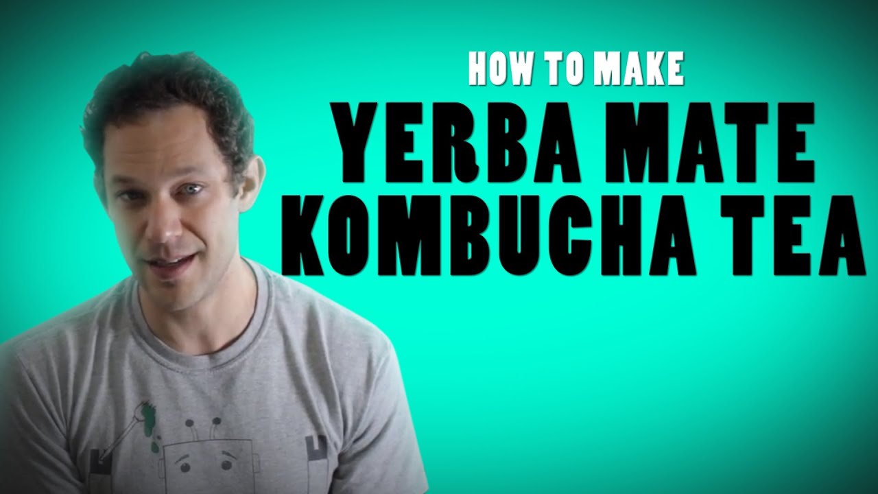 Yerba Mate Kombucha OR How To Make Yerba Mate Kombucha Tea 