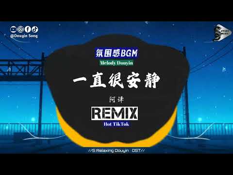 阿桑 - 一直很安静 (抖音DJ版)『给你的爱一直很安静，来交换你偶尔给的关心。』【動態歌詞｜Vietsub｜Pinyin Lyrics】氛围感BGM