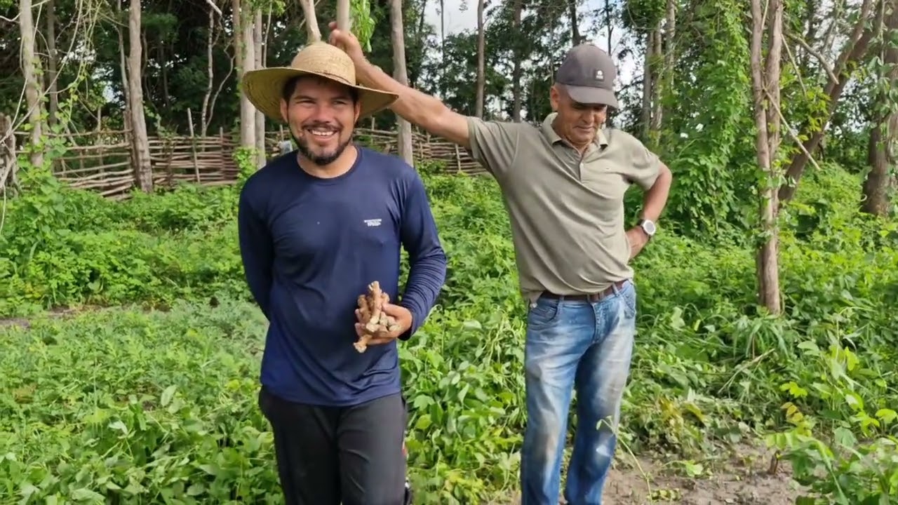 SEU PAULO NA ROÇA DE ARROZ E MILHO DO JOÃO PEDREIRO 