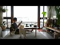 #84 初夏のタイムレスな暮らし｜おじさんネコ、名刺を手に入れる