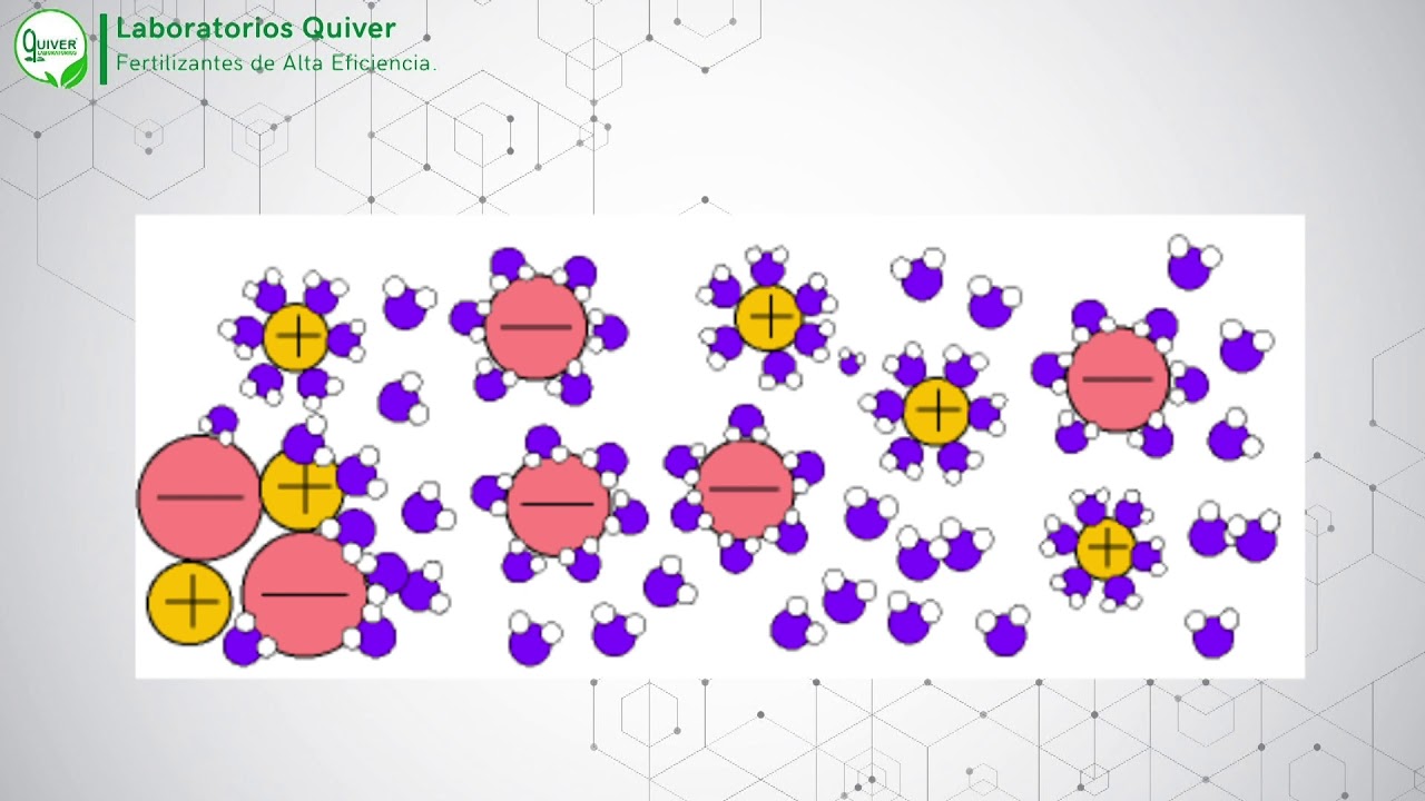 Dr. Enrique Muñoz de Morate: Fertilizantes ALEF
