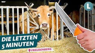 Schlachten direkt am Hof: Das Schlachtmobil | WDR Lokalzeit Land.Schafft.