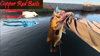 California Delta Bass Fishing.(Best Frogs You Never Heard Of)