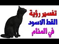 رؤية القط الاسود في المنام للعزباء اقتراب القط الاسود مني بالمنام الهروب من القط الاسود بالمنام 