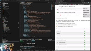 152 - Angular - Web API Speech Analyzer: Video Routing Issue