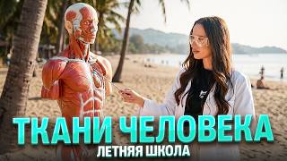 ТКАНИ ЧЕЛОВЕКА С НУЛЯ. Летняя Школа Урок 1 | Марина Медведева | 100балльный screenshot 3