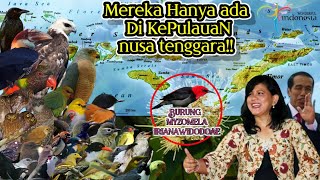 BURUNG-BURUNG ENDEMIK KEPULAUAN NUSA TENGGARA DAN SUARA ASLINYA