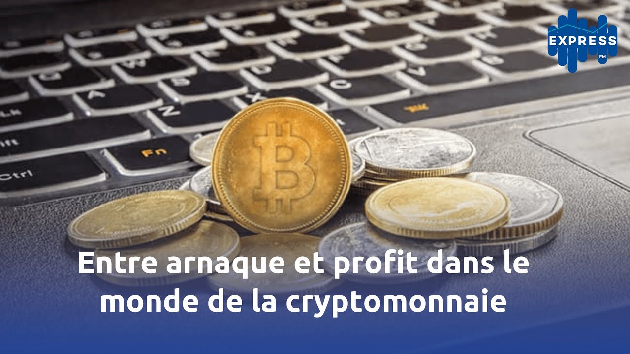 Entre arnaque et profit dans le monde de la cryptomonnaie