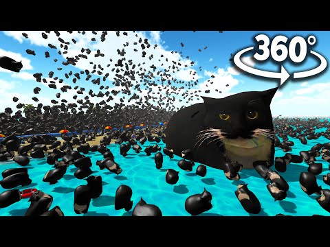 Maxwell The Cat 50,000 TIMES! 360° | VR/360° Experience