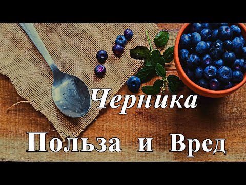 Черника полезные свойства. Кому нельзя есть чернику?