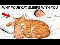 If Your Cat Sleeps With You, They’re Trying to Tell You This!