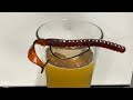 Beer and Gear: Rigging Soft Plastics for Bass