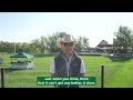 INTERVIEW WITH BEN ASSELIN - Spruce Meadows 'Masters'