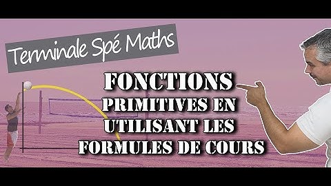 Primitives en utilisant les formules de cours