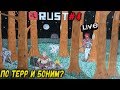 RUST СТРИМ - ПО ТЕРР И БОНИМ? (2K) #4