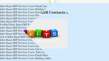 Infor Baan ERP Services Users CEO Email List