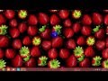 Windows Tutorial Download dari XDCC dengan HexChat