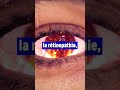 Pourquoi porter des lunettes de soleil ne suffit pas lors d'une éclipse solaire ? - #shorts #rtbf