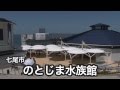 のとじま水族館 の動画、YouTube動画。