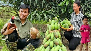 Hunt wild birds, set traps, harvest mangoes to sell and build a farm life