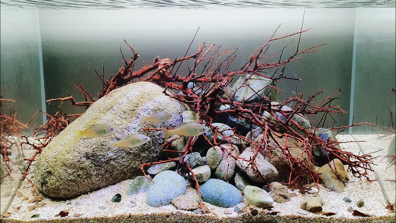 #BADC2019 / Tributaries of the Nakdong River, Busan, South Korea, 32 L