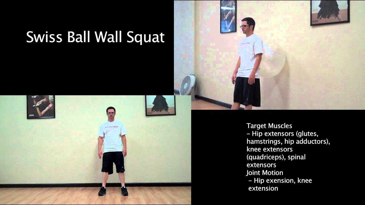 Swiss Ball Wall Squat - YouTube