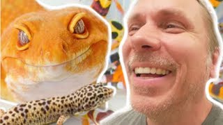 ALL MY LEOPARD GECKOS IN ONE VIDEO!!!! | BRIAN BARCZYK