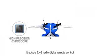 Famous Pure Toy-2.4G RC Glider Elf Delta Wing Remote Control Aircraft Profile