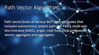 What is the Path Vector Algorithm