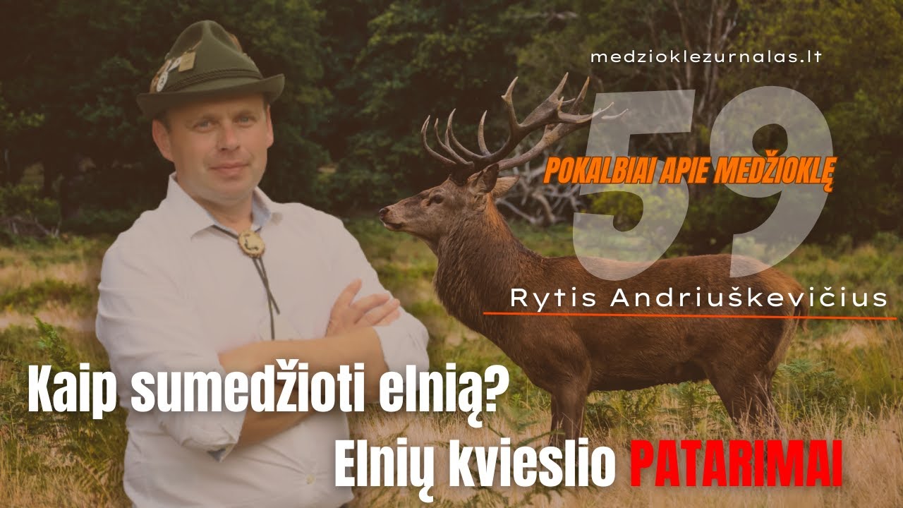 Kaip sumedžioti elnią? Elnių kvieslio PATARIMAI. Pokalbiai apie medžioklę #59