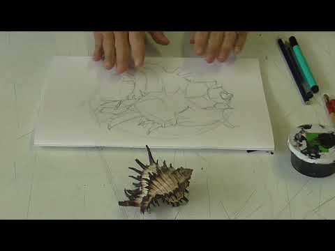 Shell drawing using markmaking - YouTube