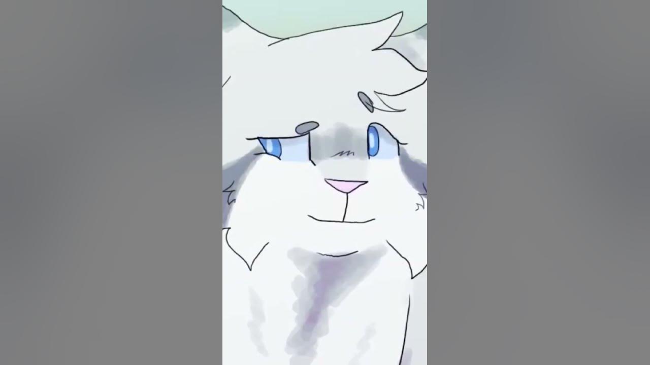 коты воители Ласточка #котывоители #warriorcats #эдит #кв #ласточка ...