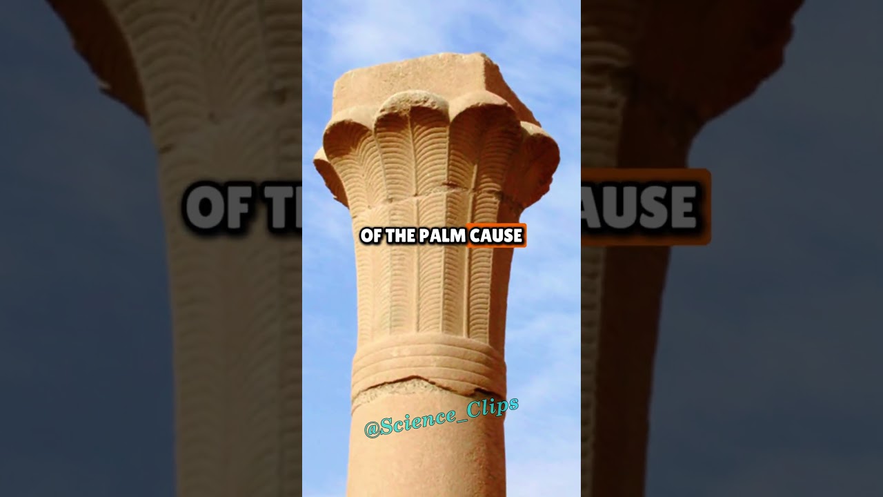 Самый впечатляющий из когда-либо обнаруженных древнеегипетских артефактов