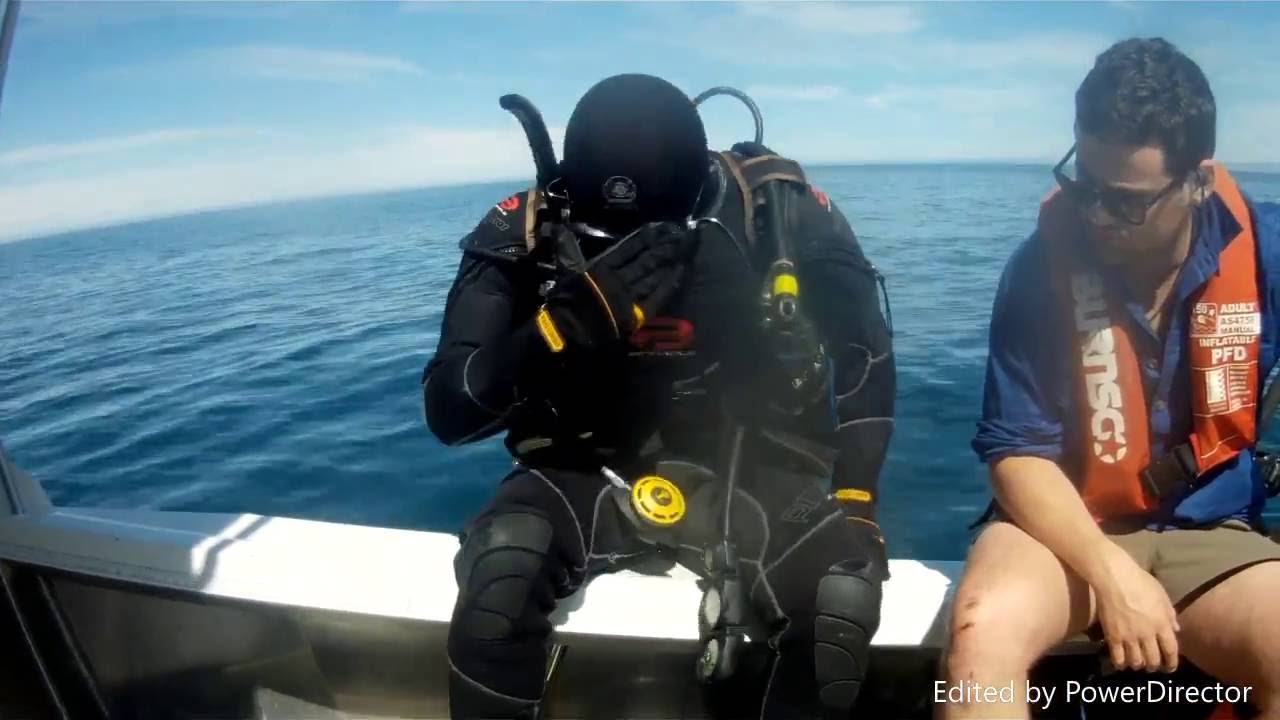 kaikoura crayfish scuba diving 2016 YouTube