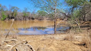 Byte-Sized Banters - TOMORROW Teaser