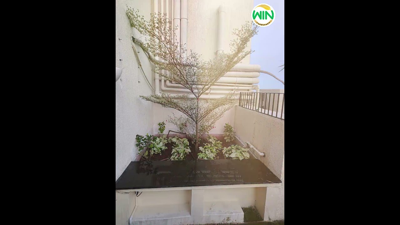 Landscape by Win Landscape -  