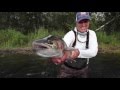 Fly Fishing for Trout in Kamchatka on the Zhupanova River