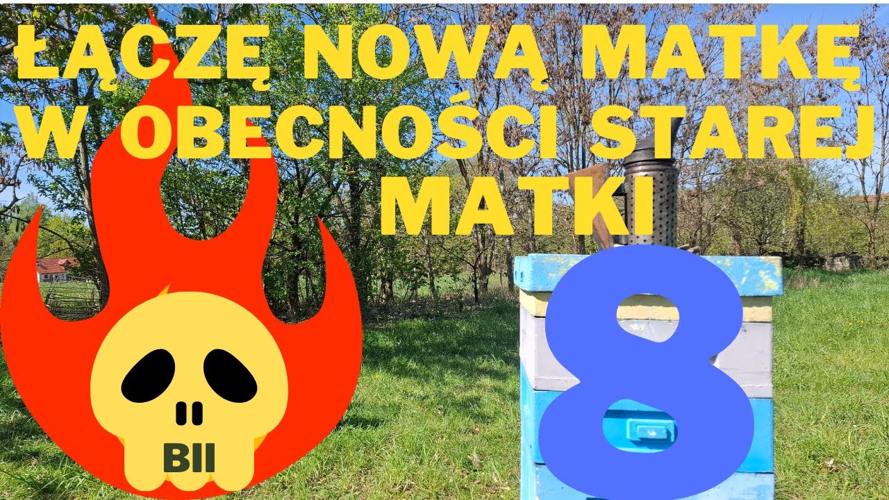 Metoda przeciwko rojeniu się pszczół  cz8