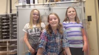 Famous 2016-2017 tele root word Profile