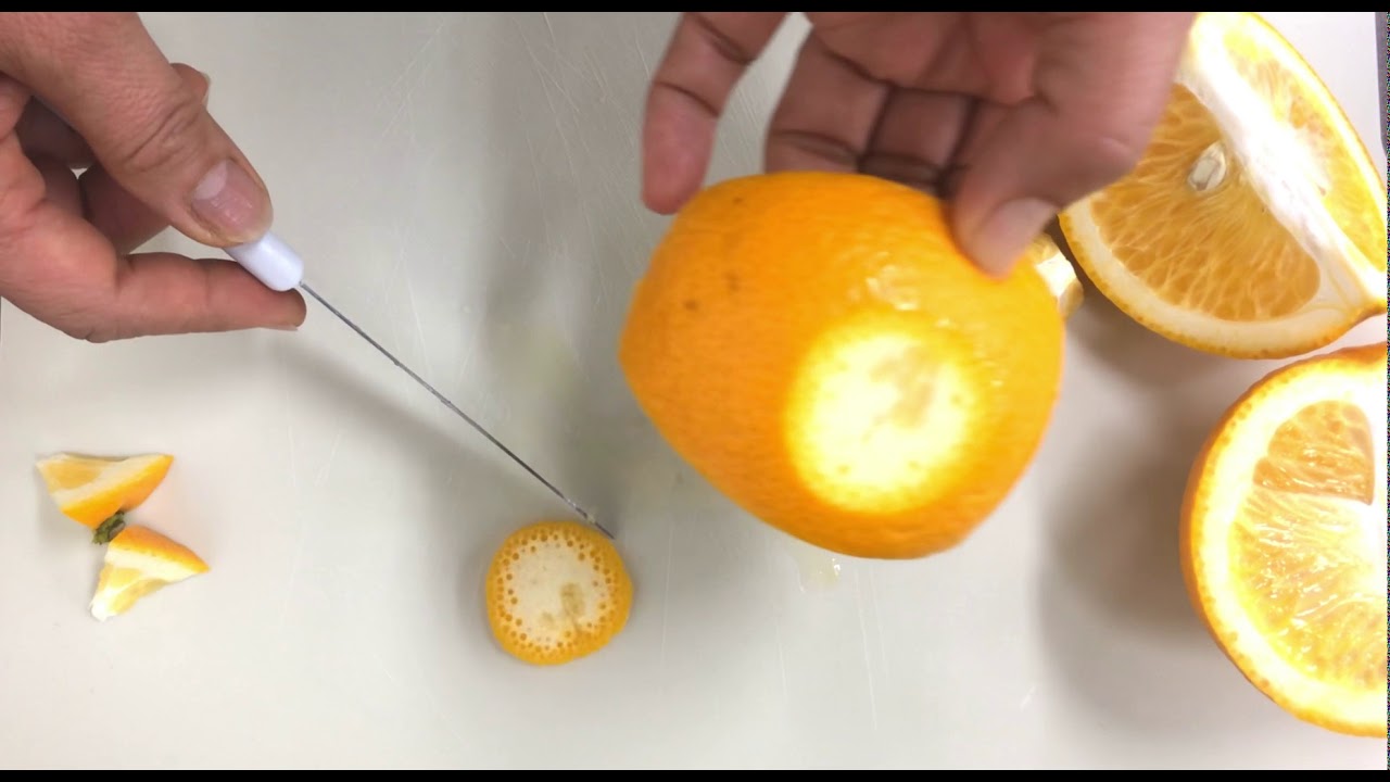 【ゆら剥きの提案】八朔のカットフルーツの方法まとめてみました/和歌山県由良町