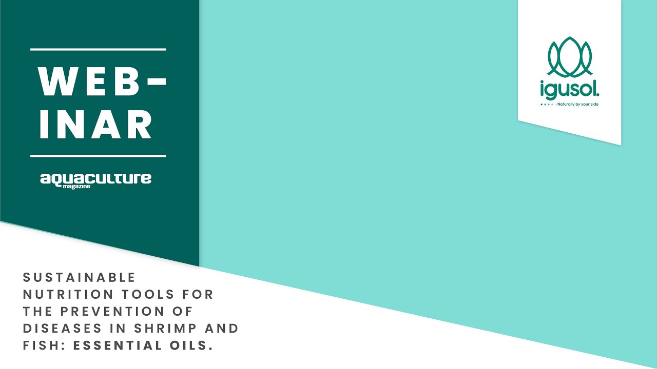Sustainable nutrition tools for the prevention of diseases in shrimp and fish: essential oils