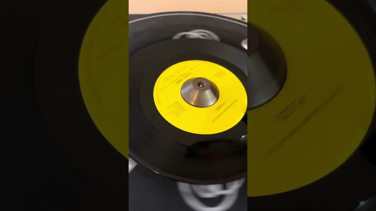 Pleze - Disco 2000 and Living together