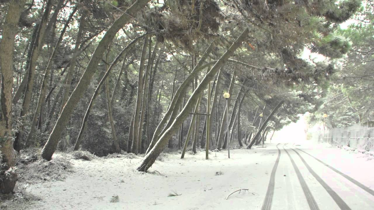 Neve-Rosolina Mare 2012