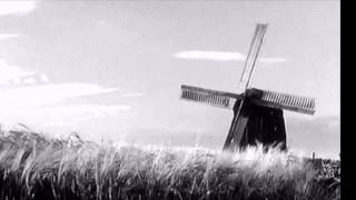 Rüzgârlara Kapilmiş Kuru Yaprak Mi̇sâli̇ Di̇lek Şafak