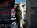 4 1/2? Double it and give it to @Christiefishing