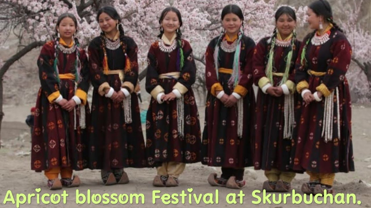 Apricot blossom Festival ||Skurbuchan || 10th of April 2025