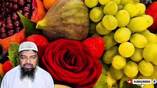 Surah Al-Baqarah | 3rd Ruku | Beautiful Recitation | Emotional Quran Tilawat | Soothing Voice